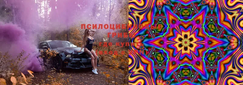 Псилоцибиновые грибы Cubensis  Нововоронеж 